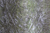 Small End fibreglass roof work