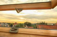 rated Small End roof window companies